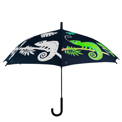https://images.esellerpro.com/2278/I/219/836/KG222-chameleon-colour-changing-umbrella-1.jpg