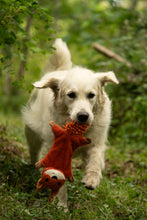 Load image into Gallery viewer, Petface Saffia Squirrel Crinkle Dog Toy