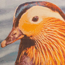 Load image into Gallery viewer, Habypro Cross Stitch Chart Only (Mandarin Duck)