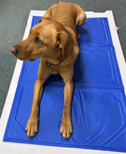 Load image into Gallery viewer, Gor Pets Self Cool Gel Mattress - Heat Relief for Pets (4 Sizes)