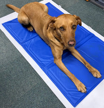 Load image into Gallery viewer, Gor Pets Self Cool Gel Mattress - Heat Relief for Pets (4 Sizes)