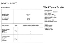 Load image into Gallery viewer, James Brett Chunky Crochet Pattern – Tilly &amp; Tommy Tortoise Toy JB935