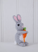 Load image into Gallery viewer, King Cole Springtime Knits Book 2 Enchanted Spring Knits Gingerbread Houses, Bunnies &amp; Blooms