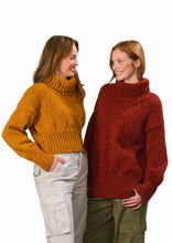 Load image into Gallery viewer, James Brett Aran Knitting Pattern Ladies Short or Long Roll Neck Sweaters JB893