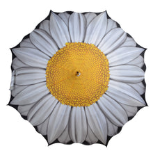 Load image into Gallery viewer, Fallen Fruits Floral Umbrella with Scalloped Edges - 105cm Diameter (3 Designs)