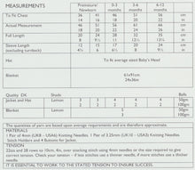 Load image into Gallery viewer, Double Knitting Pattern for Long Sleeved Jacket Hat &amp; Blanket (UKHKA 107)