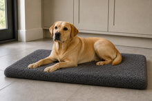 Load image into Gallery viewer, Gor Pets Noodle Fibre Crate Mat Absorbent Washable Dog Mat