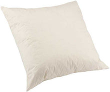 Load image into Gallery viewer, China Duck Feather Scatter Cushion Pads with Cambric Cover (Various Sizes)