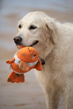 Load image into Gallery viewer, Petface Plush &amp; Rubber Fish Dog Toy