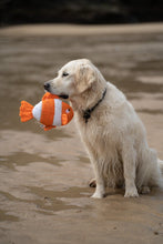 Load image into Gallery viewer, Petface Plush &amp; Rubber Fish Dog Toy