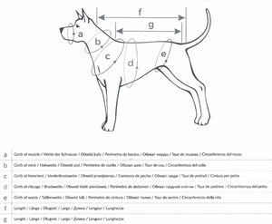 Gor Pets Cotton Tape Dog Harness (4 Colours)