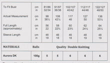 Load image into Gallery viewer, James Brett Double Knit Womans Stripe Effect Sweater Knitting Pattern JB905