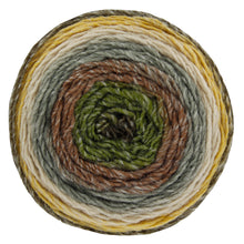 Load image into Gallery viewer, King Cole Curiosity DK Cake Yarn 150g (14 Shades)