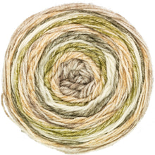Load image into Gallery viewer, King Cole Harvest DK Cake Yarn 150g (13 Shades)