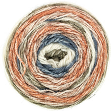 Load image into Gallery viewer, King Cole Harvest DK Cake Yarn 150g (13 Shades)