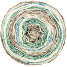 Load image into Gallery viewer, King Cole Harvest DK Cake Yarn 150g (13 Shades)