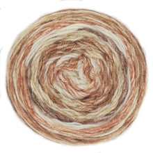 Load image into Gallery viewer, King Cole Harvest DK Cake Yarn 150g (13 Shades)