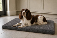Load image into Gallery viewer, Gor Pets Noodle Fibre Crate Mat Absorbent Washable Dog Mat