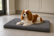 Load image into Gallery viewer, Gor Pets Noodle Fibre Crate Mat Absorbent Washable Dog Mat