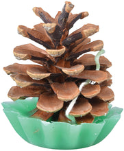Load image into Gallery viewer, Heavy Duty Log Carrier &amp; Pack of 10 Pinecone Fire Starters