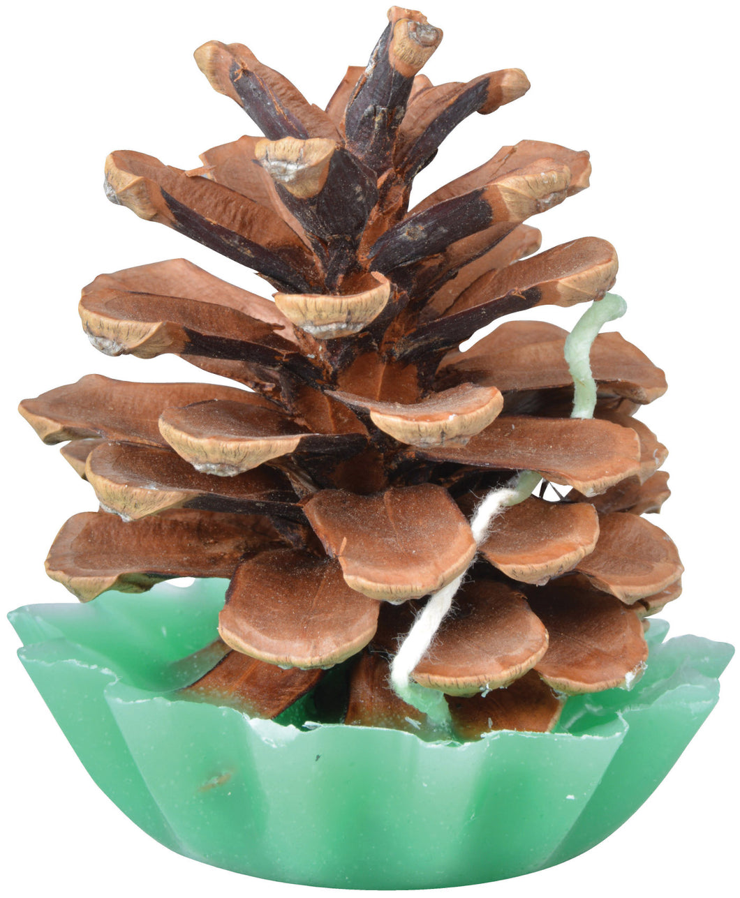 https://images.esellerpro.com/2278/I/143/801/FF226-natural-pinecone-firestarter-fire-lighter.jpg