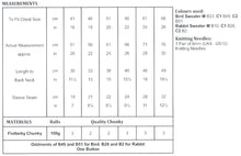 Load image into Gallery viewer, James Brett Chunky Knitting Pattern - Children&#39;s Rabbit or Bird Sweater (JB832)