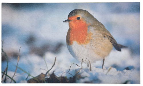 Robin Printed Door Mat With PVC Backing Easy Clean Welcome Mat (75cmx45cm)