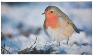 Robin Printed Door Mat With PVC Backing Easy Clean Welcome Mat (75cmx45cm)