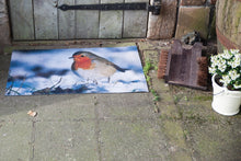 Load image into Gallery viewer, Robin Printed Door Mat With PVC Backing Easy Clean Welcome Mat (75cmx45cm)