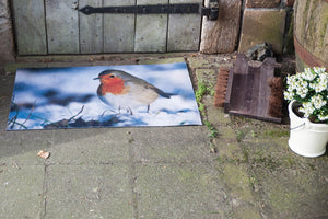 Robin Printed Door Mat With PVC Backing Easy Clean Welcome Mat (75cmx45cm)