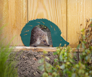 Hedgehog Gate for Safe Garden Passage (Green)