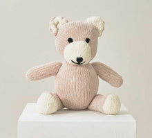 Load image into Gallery viewer, James Brett Chunky Knitting Pattern - Teddy (JB809)